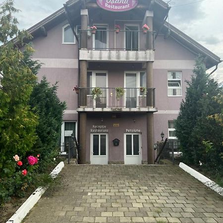 Pensiune Osanu Hermannstadt Exterior foto