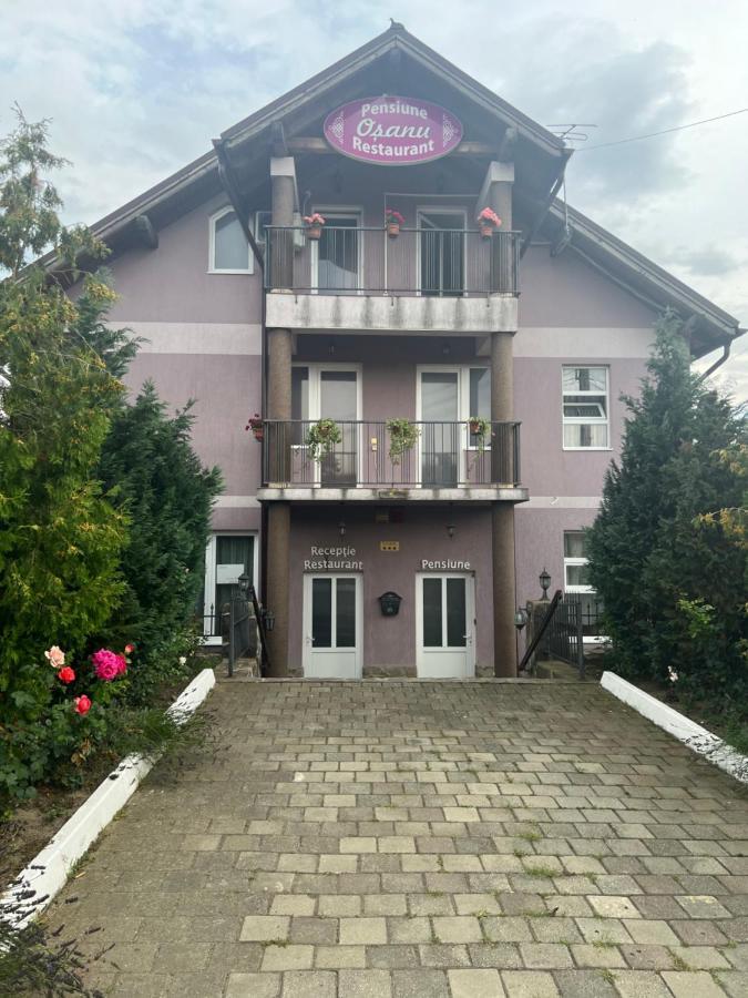 Pensiune Osanu Hermannstadt Exterior foto